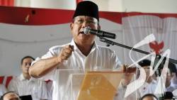 �������� ������������� ������ ���� ��� ������: ���������� ����� �� 15 �� � ����������